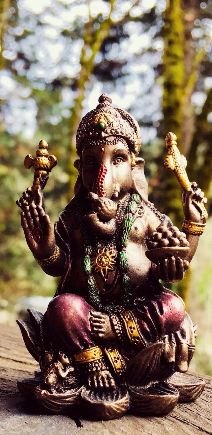 Ganesh ji
