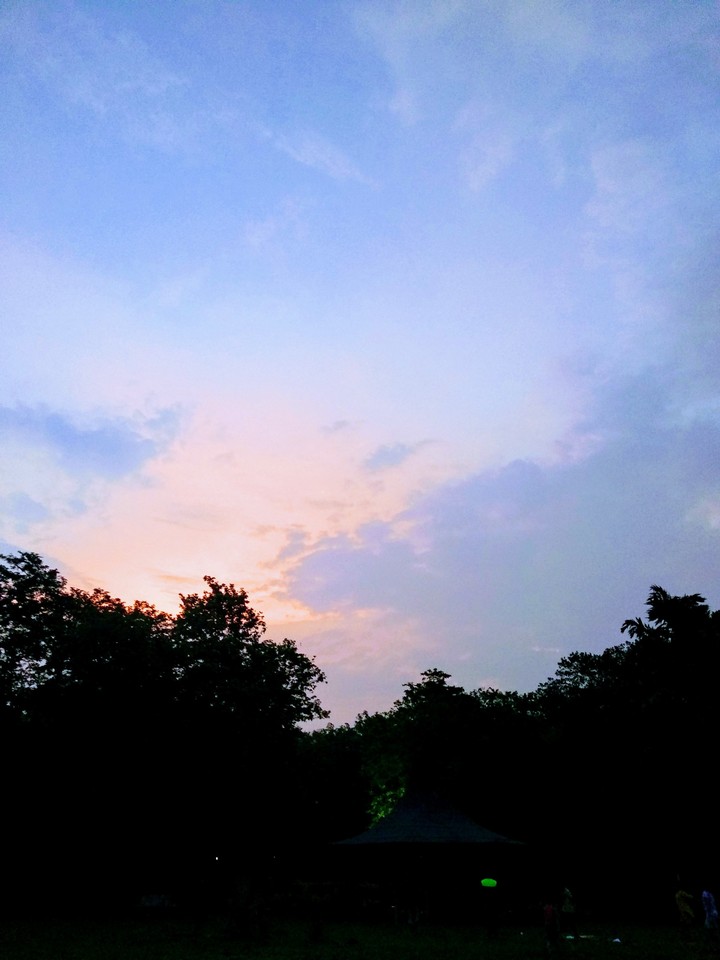 Evening