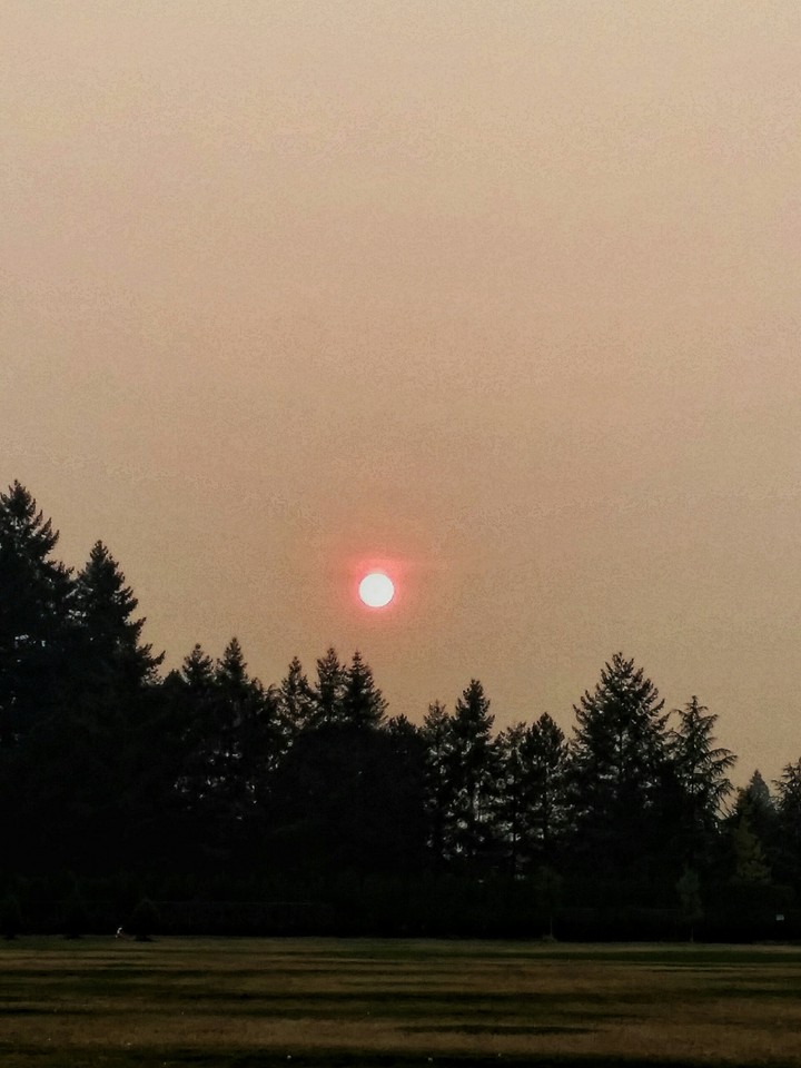 hazy sun