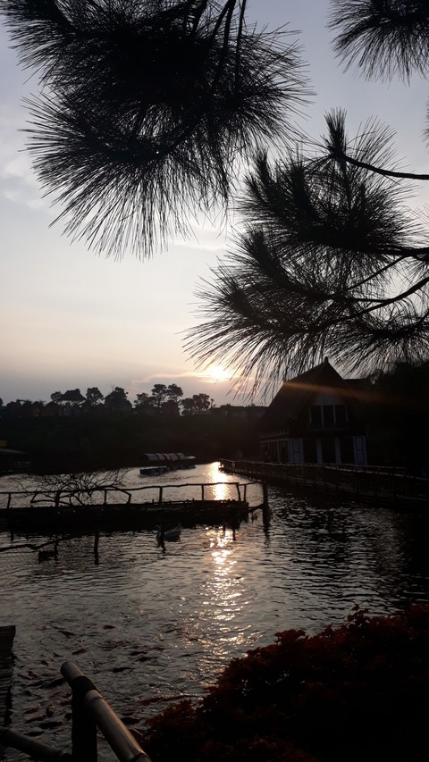 sun set