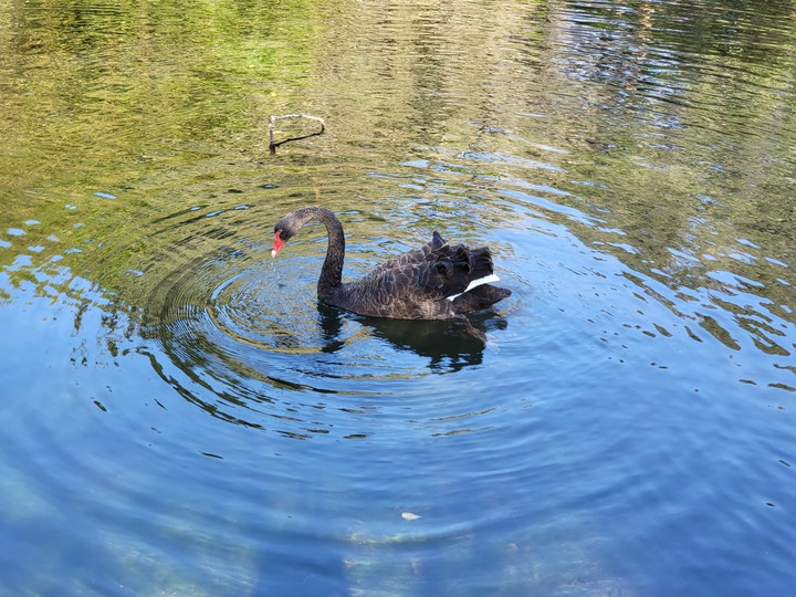 Western Springs Lakeside Park Auckland New Zealand 18/09/21