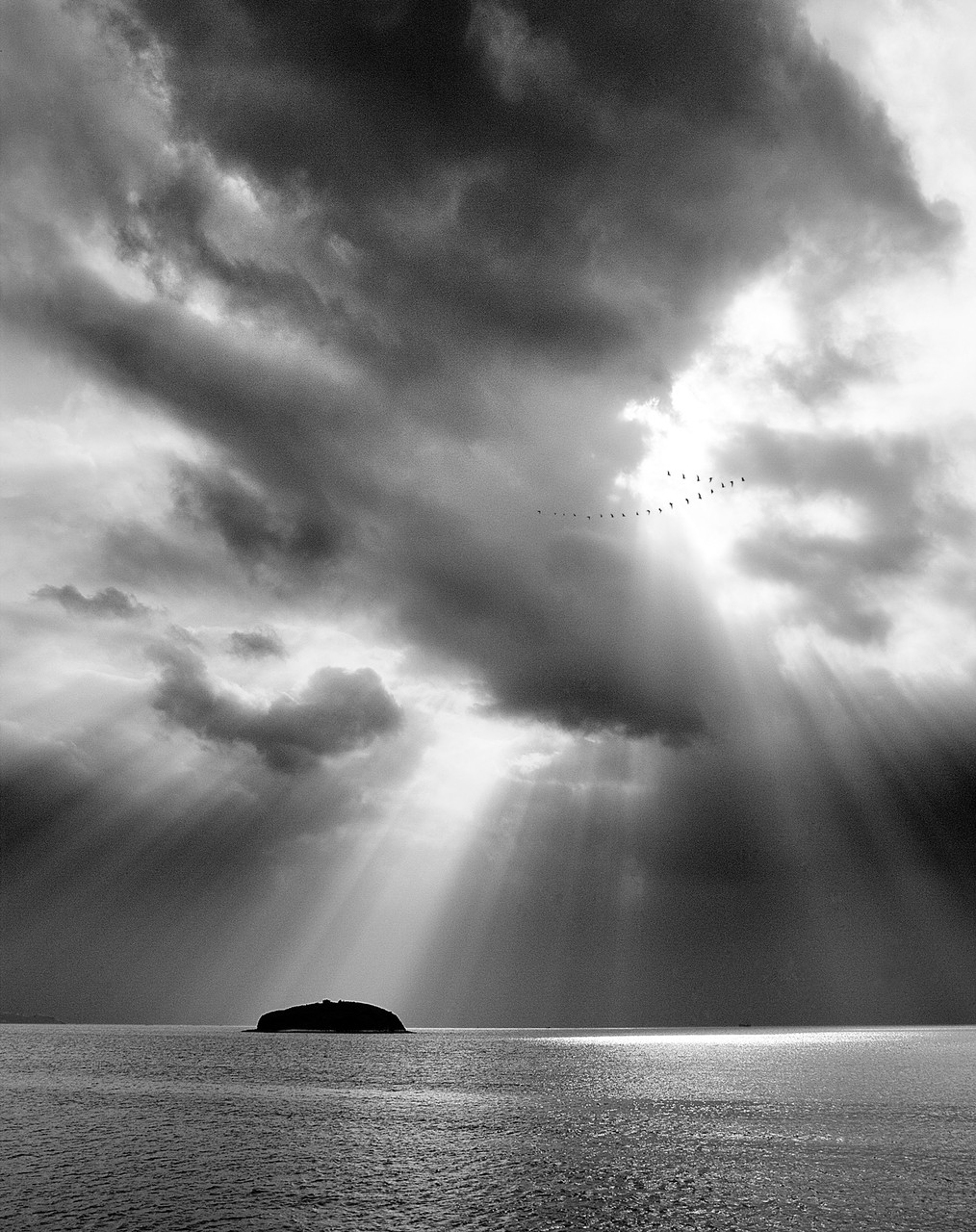 The Sunbeams