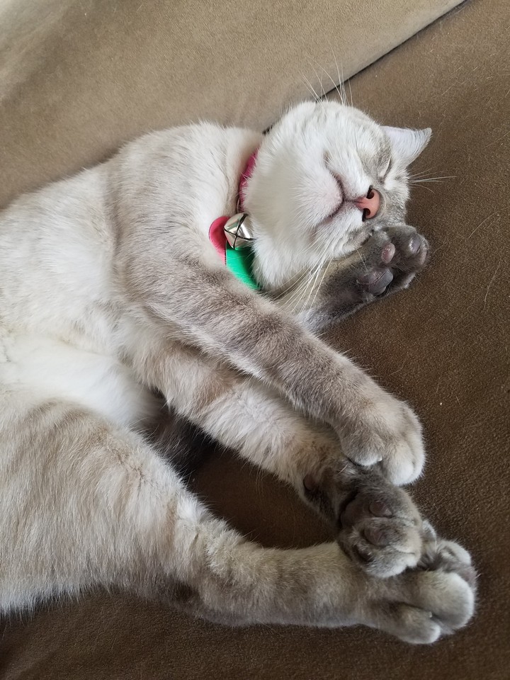 Nina