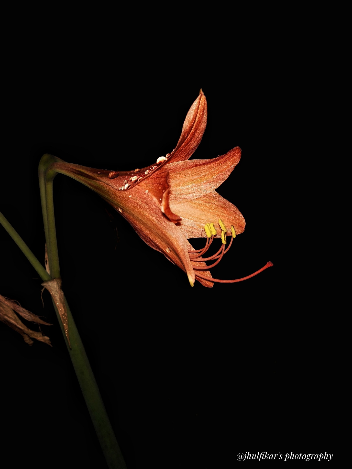 night photography