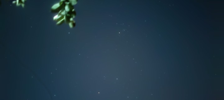 stars