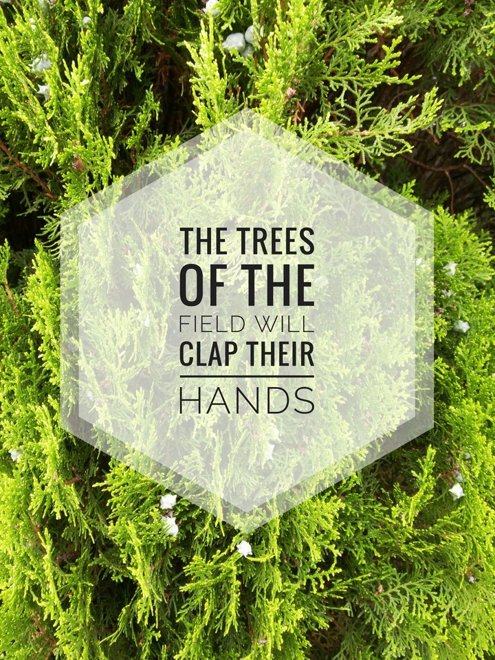 The Trees of the Field