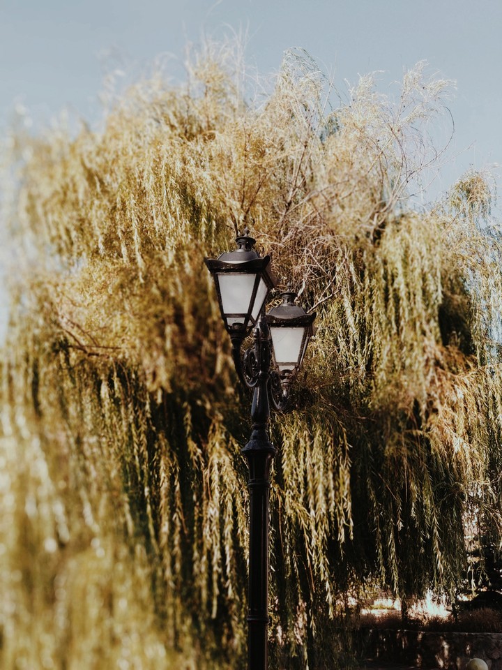 lantern