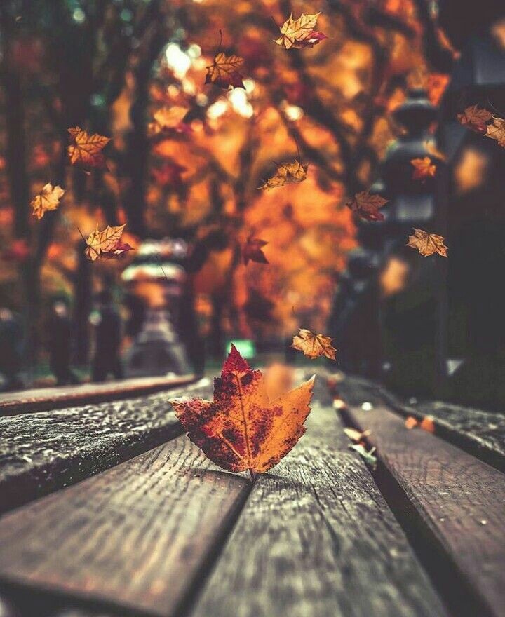 c: