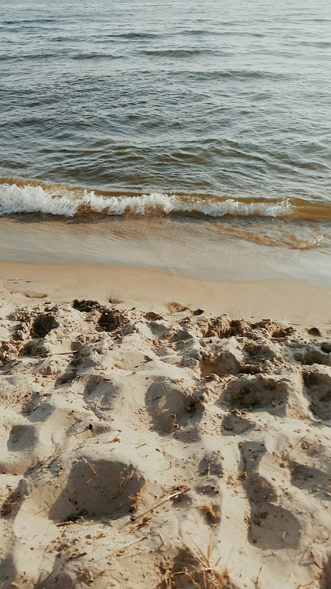 the shore