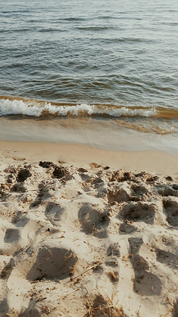 the shore