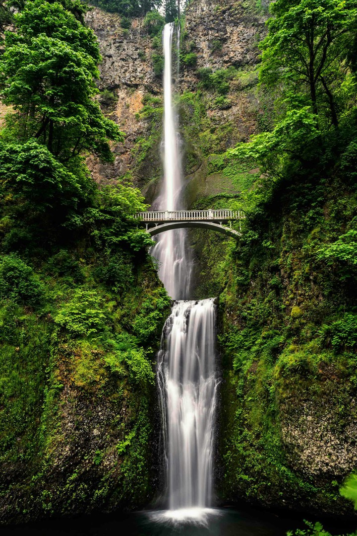 BEAUTY FALL