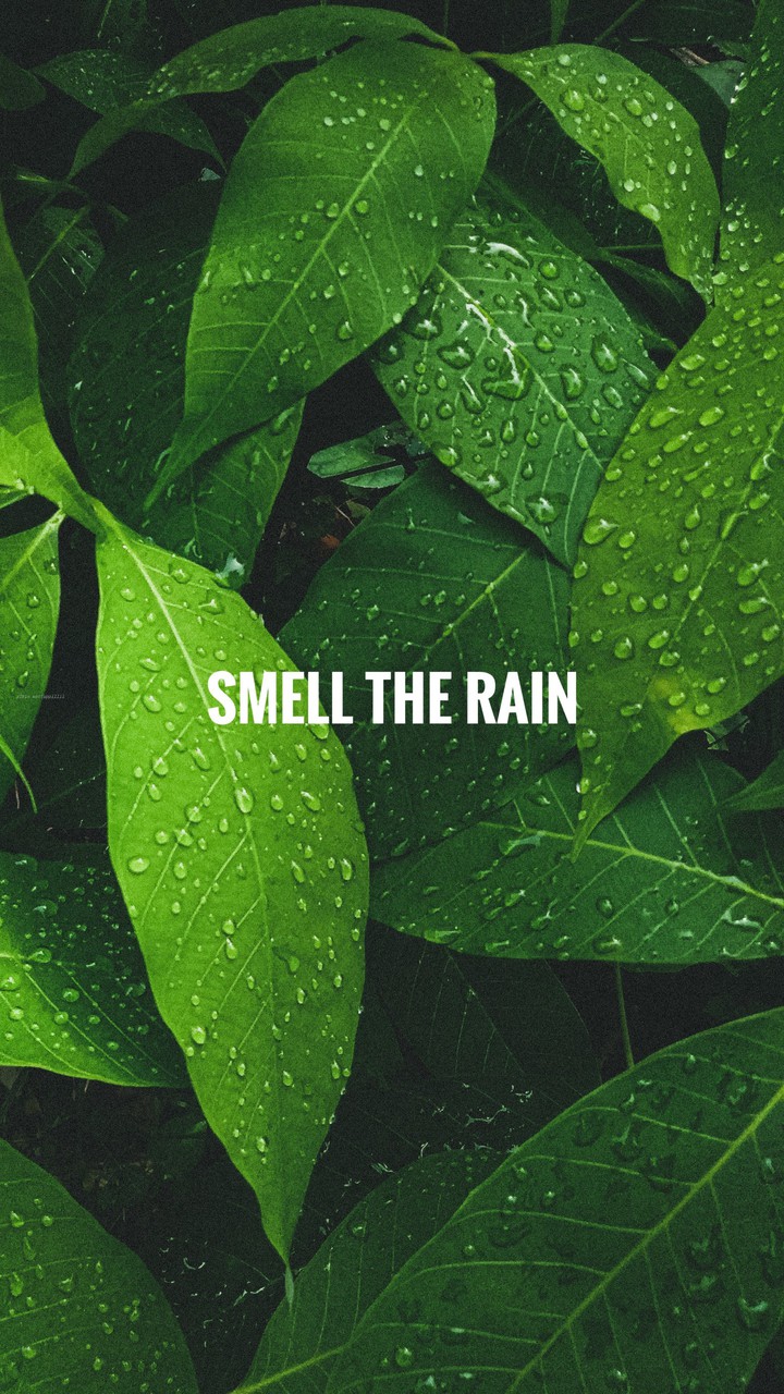Rainy Days