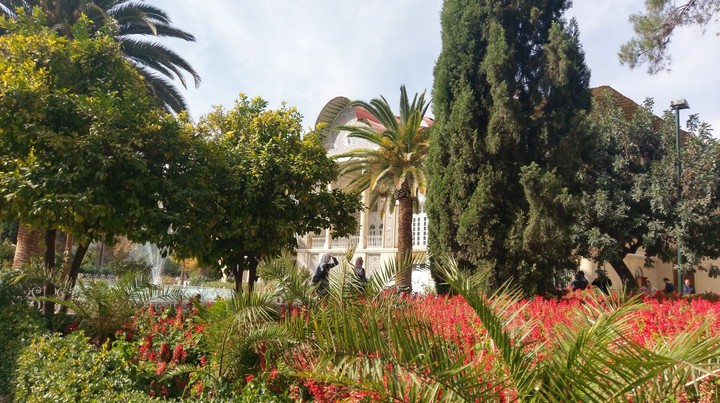Automn in garden