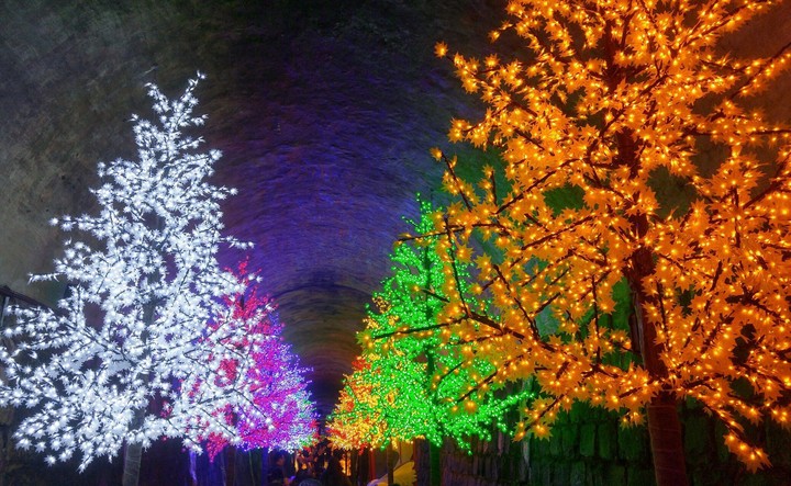 light beauty
