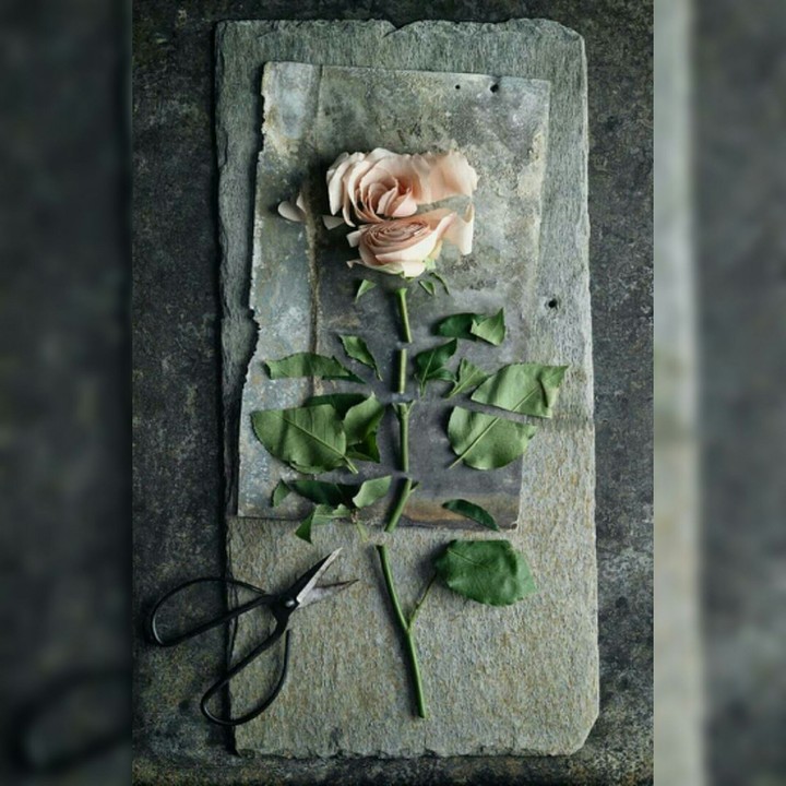 Dont break others heart
