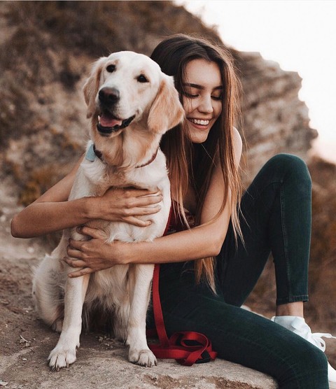 dog