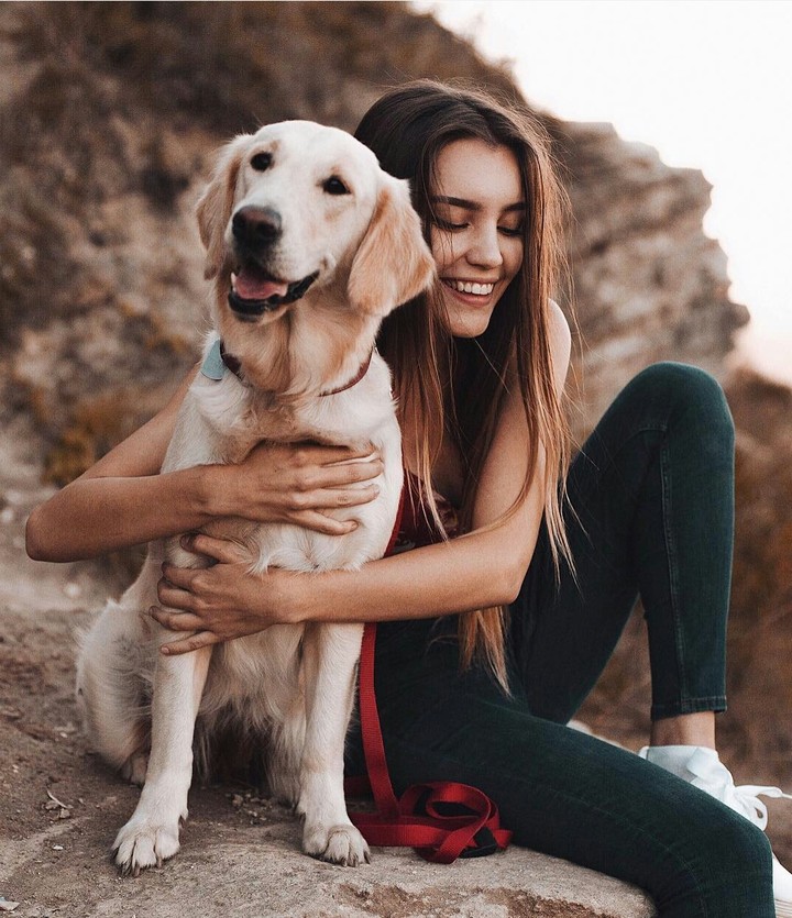 dog 
