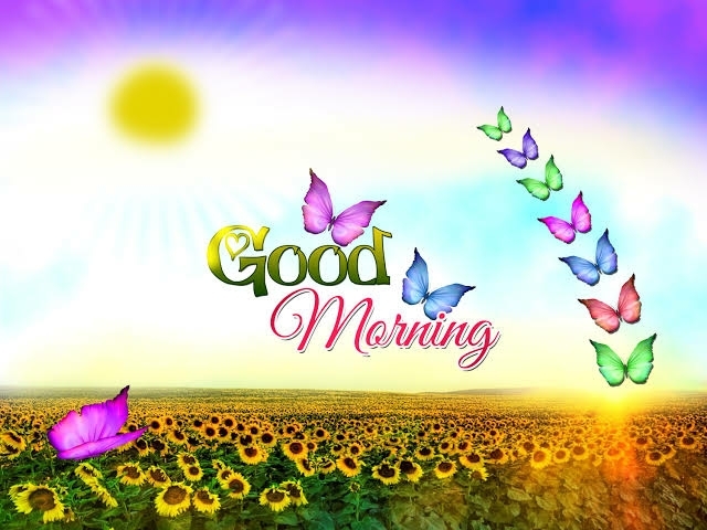 good morning