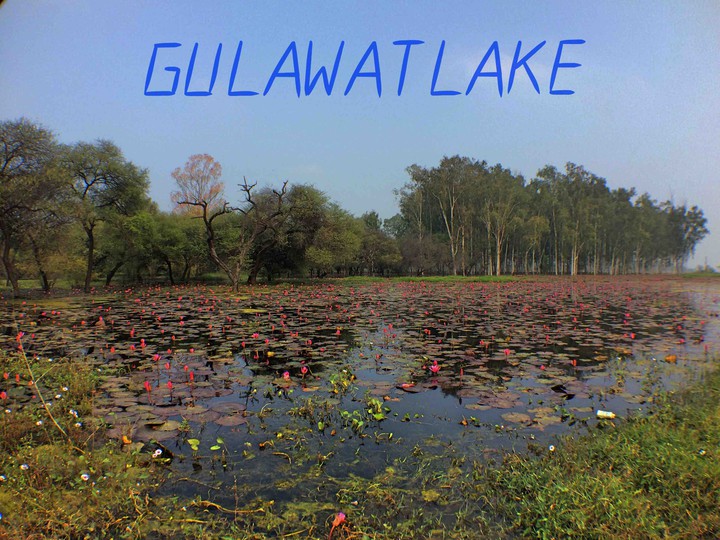 GULAWAT LAKE SCENERY