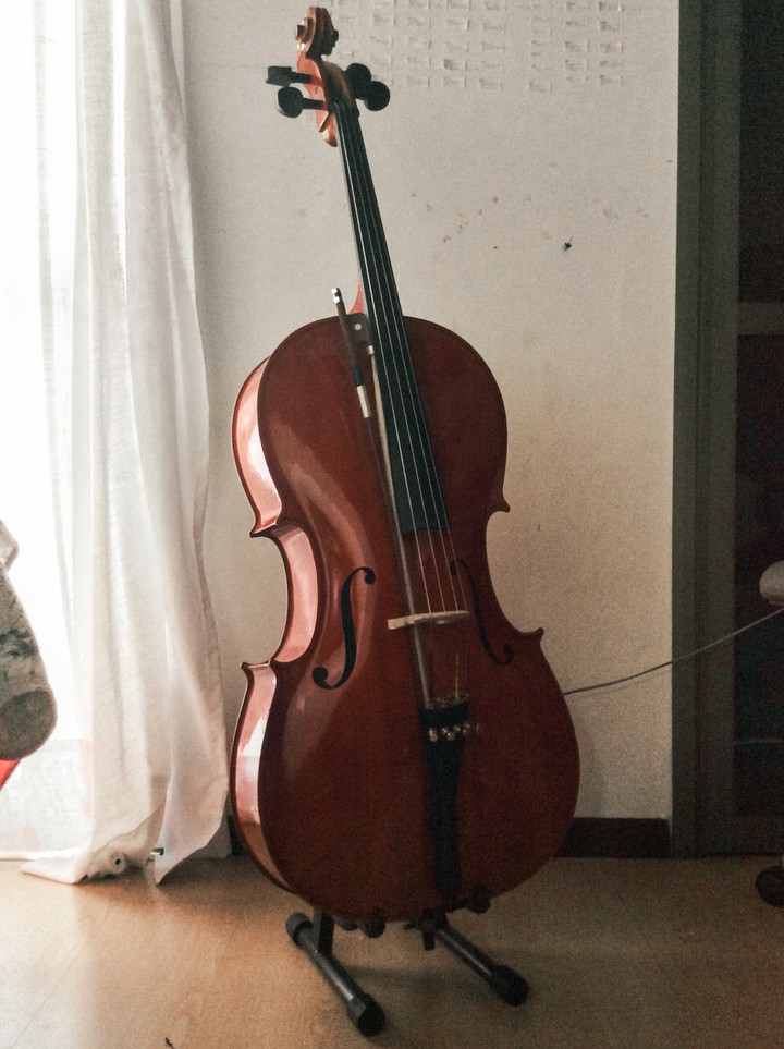 cello