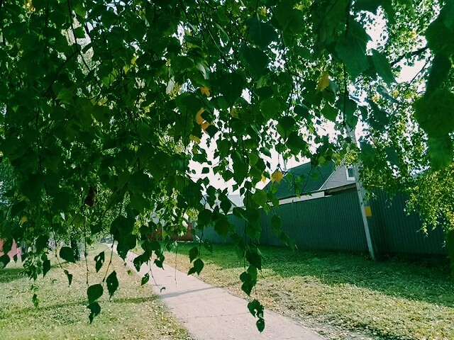 Осень
