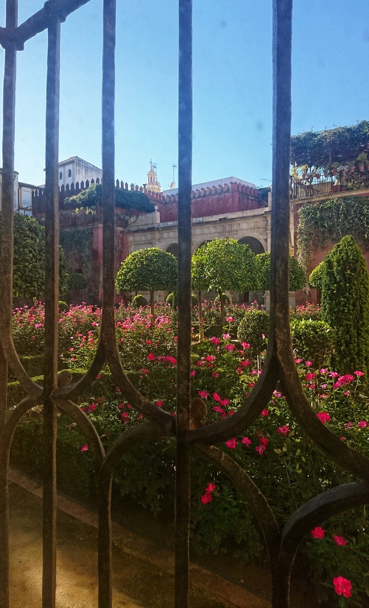 A balade in Andalucia