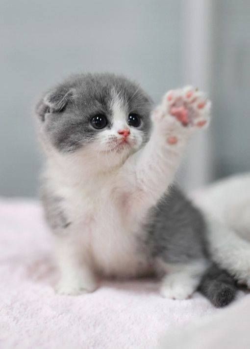 hello!!!!!!!
