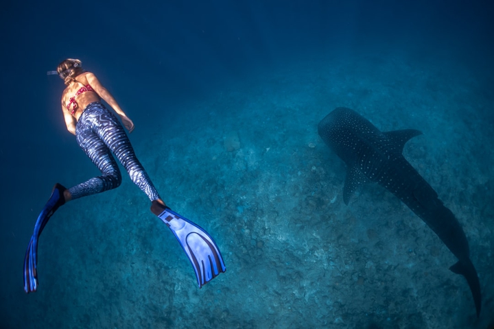 diving