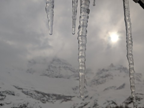 icicles