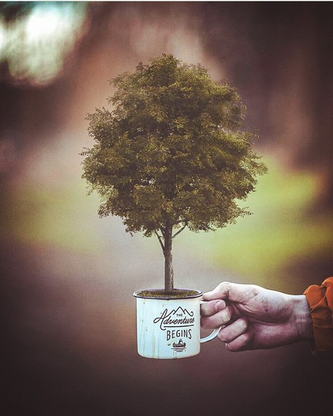 tea