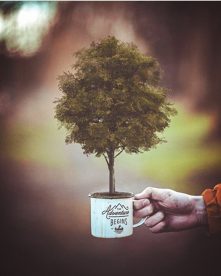 tea