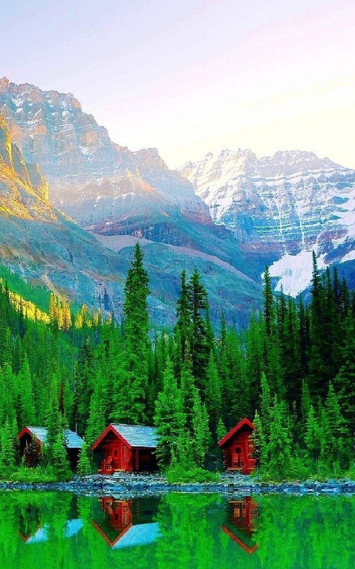 Green Trees & Mountain