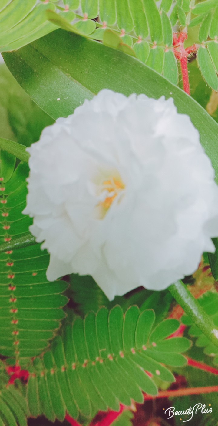 ??