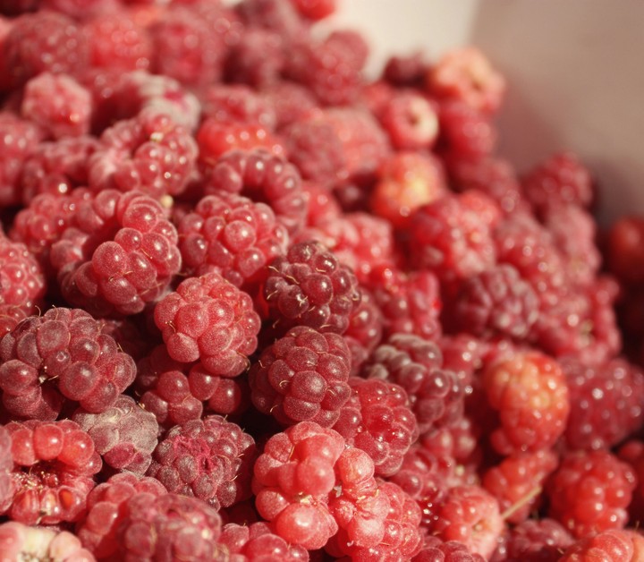 raspberries малина