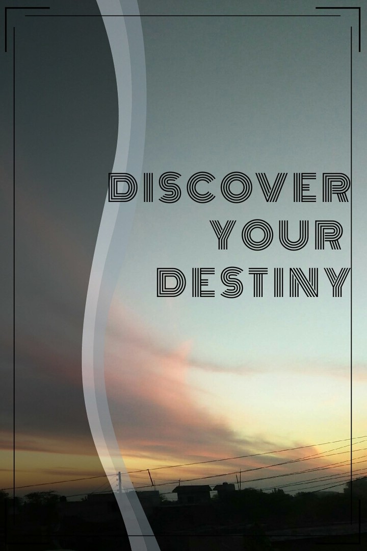Discover