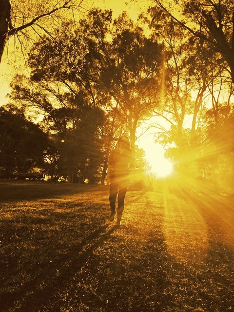 Captured Moment