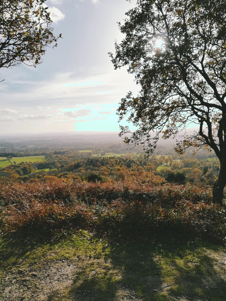 Landscape