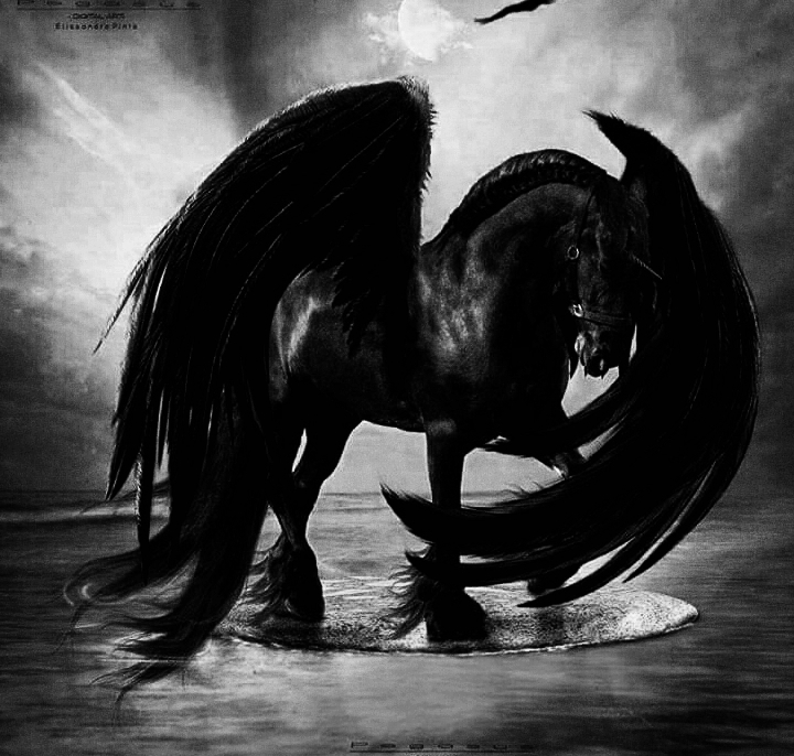 Pegasus