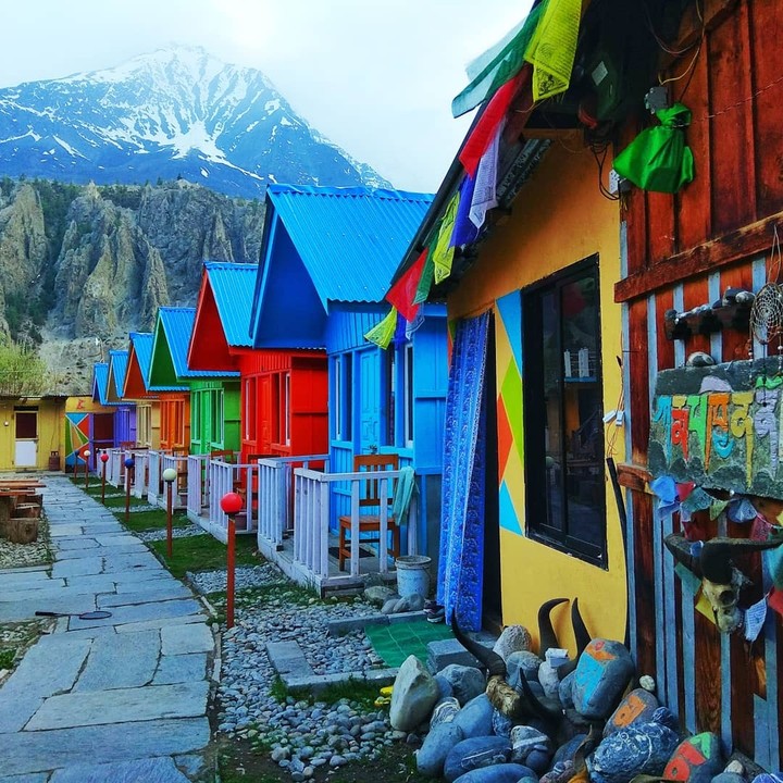 shades of colour