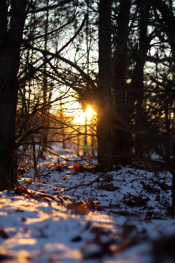 winter