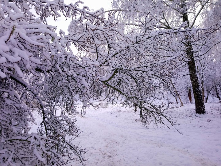 winter around
