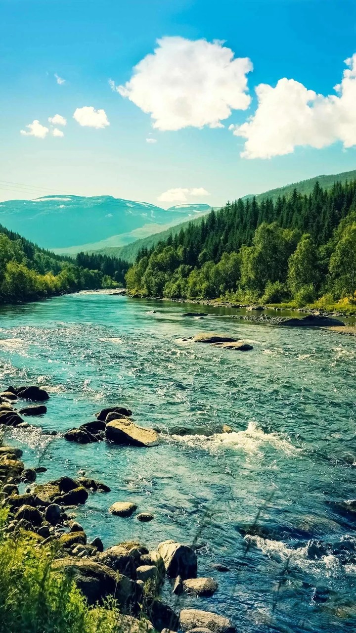 nature