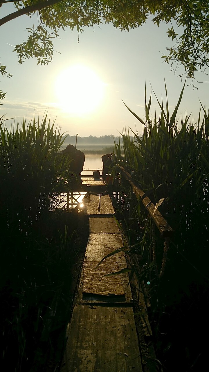 Relax
