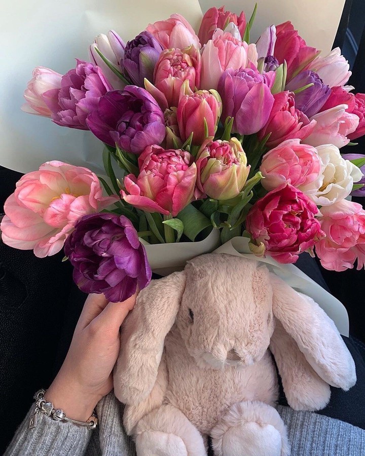 Bunny