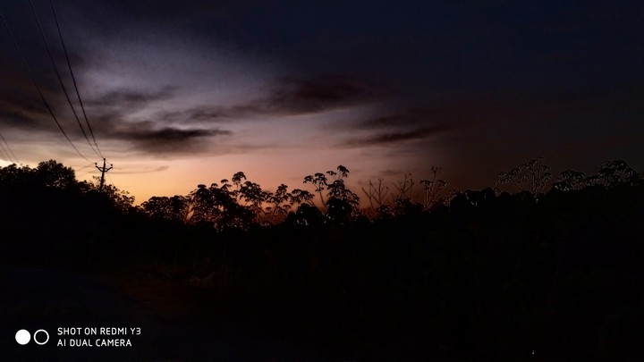 evening