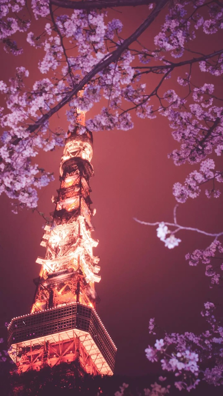 Winter Season with Affil Tower