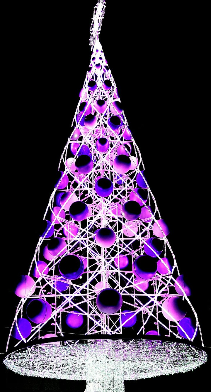 Sapin de Noël