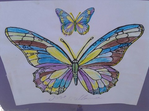 mariposas multicolor