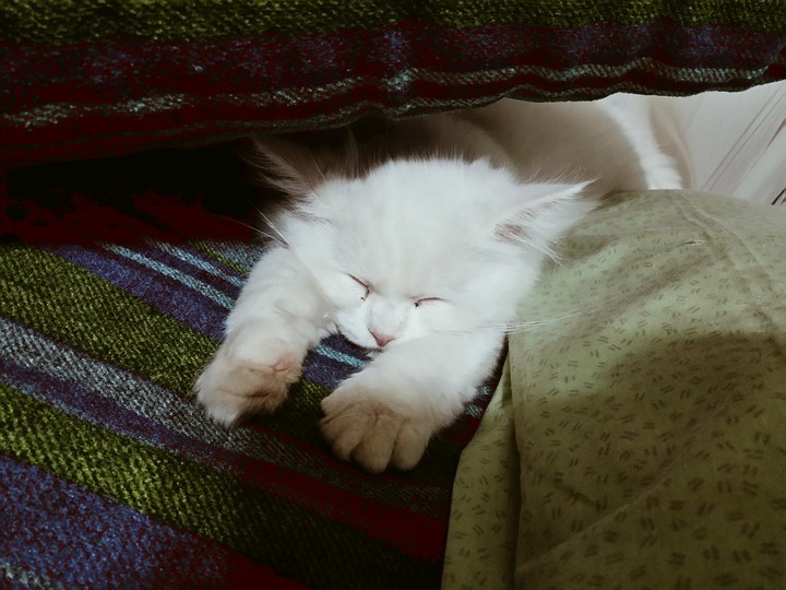 Cute