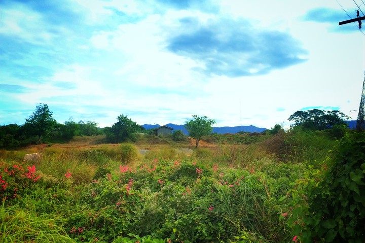 Place of peace
